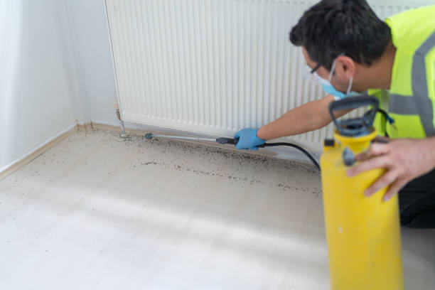 Best Pest Inspection Near Me  in Soap Lake, WA